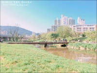프리야 토픽 iframe영역