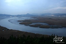 프리야 토픽 iframe영역