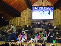 프리야 토픽 iframe영역