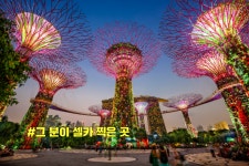 프리야 토픽 iframe영역
