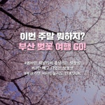 프리야 토픽 iframe영역