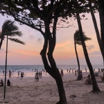 정말 이럴수가 있습니까 말문이 막히네요 | NOL 인터파크투어 이벤트혜택존