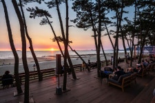 프리야 토픽 iframe영역