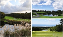 항공 골프 해비치/샤인빌파크/제주CC 54홀 3일 : 인터파크투어