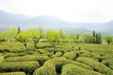 프리야 토픽 iframe영역