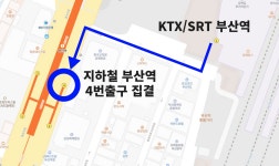 부산여행 동부산투어 버스 기장 아홉산숲/해동용궁사/해운대 해변열차 : 인터파크투어