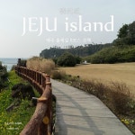 제주도여행 제주 올레길 8코스 산책하기 :) | NOL 인터파크투어 프리야 여행정보 [대한민국>제주도] 이런 여행 어때요! 제주도여행 제주 올레길... 