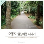 국내 여름 휴가 여행 여수 해상케이블카 타고 오동도 힐링여행 떠나기... 국내 여름 휴가 여행 여수 해상케이블카 타고 오동도 힐링여행 떠나기