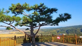 일송정 | NOL 인터파크투어 프리야 여행정보 [중국>연길] 여기 가고싶어요! [일송정] 독립... 가곡 선구자에 등장하는 일송정이 바로 이 소나...