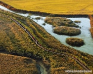  기차   KTX  가을  황금빛 물결 순천만갈대밭과 추억의 드라마세트장 (당일) : 인터파크투어 