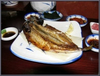 TPHOLIC - 자유게시판 - 오늘은 올릴게 없어서...