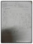 노랑병아리 | YES 블로그