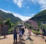 완주군, 나라꽃 무궁화 완주축제 준비 만전:경인투데이뉴스 ≪경인투데이뉴스≫ 완주군, 나라꽃 무궁화 완주축제 준비 만전