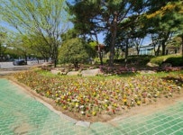 밀양시, 경남도민체전 선수단 및 방문객 맞이 꽃단장:경인투데이뉴스 ≪경인투데이뉴스≫ 밀양시, 경남도민체전 선수단 및 방문객 맞이 꽃단장