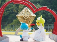대구 달서구, 달달 연애·결혼·중매 공감사연 함께 나눠요!:경인투데이뉴스 ≪경인투데이뉴스≫ 대구 달서구, 달달 연애·결혼·중매 공감사연... 