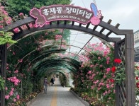 장미로 꽃 피운 서대문구 ˝장미 명소 보러 오세요˝:경인투데이뉴스 ≪경인투데이뉴스≫ 장미로 꽃 피운 서대문구 ˝장미 명소 보러 오세요˝