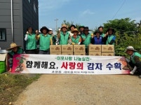 오산시 초평동 새마을지도자협의회와 주민자치회, 사랑나눔... 오산시 초평동 새마을지도자협의회와 주민자치회, 사랑나눔 감자수확했어요
