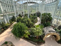 광주광역시 “광주시립수목원에 황금연꽃바나나꽃 피었어요”:경인투데이뉴스 ≪경인투데이뉴스≫ 광주광역시 “광주시립수목원에... 