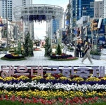 가을의 낭만에 취하다 ‘해운대 구남로 국화축제’ 20일까지... 경인투데이뉴스≫ 가을의 낭만에 취하다 ‘해운대 구남로 국화축제’ 20일까지