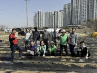 수원시 권선구 구운동 새마을3단체, 사랑의 감자 심기:경인투데이뉴스 ≪경인투데이뉴스≫ 수원시 권선구 구운동 새마을3단체, 사랑의 감자 심기