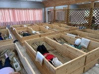 익산시, 치유농업 일번지를 향한 힘찬 발걸음:경인투데이뉴스 ≪경인투데이뉴스≫ 익산시, 치유농업 일번지를 향한 힘찬 발걸음