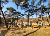 김천시시설관리공단, 사명대사공원 흔들그네형 퍼걸러 설치:경인투데이뉴스 ≪경인투데이뉴스≫ 김천시시설관리공단, 사명대사공원 흔들그네형... 