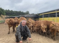 고흥군, ICT 기반 한우 사육으로 ‘동물복지 축산농장’ 1호 탄생:경인투데이뉴스 ≪경인투데이뉴스≫ 고흥군, ICT 기반 한우 사육으로... 