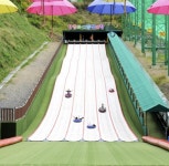 단양사계절썰매장, 여름밤에도 달린다!:경인투데이뉴스 ≪경인투데이뉴스≫ 단양사계절썰매장, 여름밤에도 달린다!