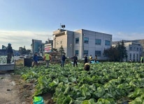 양평군 양동면 지역사회보장협의체, 기관·단체와 함께 동절기 배추·무... 양평군 양동면 지역사회보장협의체, 기관·단체와 함께 동절기 배추·무... 
