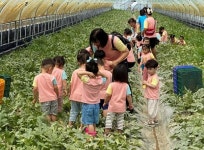 전남도, 4월 농촌체험휴양마을에 ‘광양 섬진강끝들마을’:경인투데이뉴스 ≪경인투데이뉴스≫ 전남도, 4월 농촌체험휴양마을에 ‘광양... 
