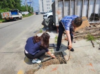 인천 서구, 인천대로 주변 측도 현장점검으로 주민 안전 확보 나서:경인투데이뉴스 ≪경인투데이뉴스≫ 인천 서구, 인천대로 주변 측도... 