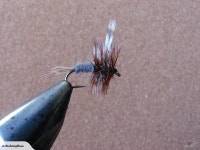 Adams #14 x 5 | Trade Me Adams #14 x 5