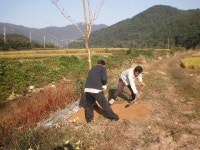 트리디비 - 15년도 나무심기 트리디비(treedb)