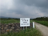 트리디비 - ◆◆ 야자수(워싱턴,코코스,소철,당종려등),편백나무 트리디비(treedb)