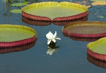 테마 - 5