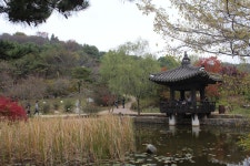 사진담기 - 안면도 수목원 한국정원 입니다.