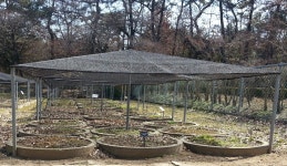 사진담기 - 약초원