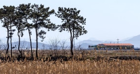 환경 - 나무와 창고