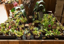 생태원 - 상점 7