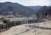 생태원 - 황새공원의 생태습지