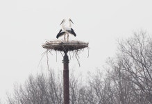 생태원 - 휴식 4