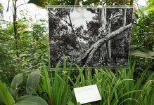 생태원 - 자료 전시품 2