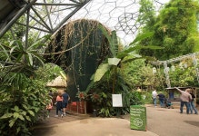 생태원 - 관찰로 2