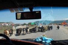 센베노 몽골 - 매니아들의 소셜여행, 스투비플래너 센베노 몽골 - squelette님의 여행앨범