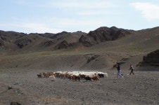 센베노 몽골 - 매니아들의 소셜여행, 스투비플래너 센베노 몽골 - squelette님의 여행앨범