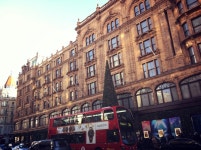 여자 혼자 떠나는 힐링여행 - 매니아들의 소셜여행, 스투비플래너 여자 혼자 떠나는 힐링여행 - myneko님의 여행앨범