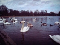 여자 혼자 떠나는 힐링여행 - 매니아들의 소셜여행, 스투비플래너 여자 혼자 떠나는 힐링여행 - myneko님의 여행앨범