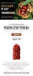 도매꾹 :: 대한민국1위 돈버는 쇼핑 - 도매꾹 [도매꾹] 모닝 신공주 햇알밤 1kg