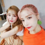 #12098432 | 솔라_마마무 | 아이돌 팬덤 순위 최애돌