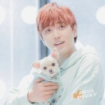 #13085020 | 산들_B1A4 | 아이돌 팬덤 순위 최애돌